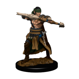 Pathfinder Battles: Premium...