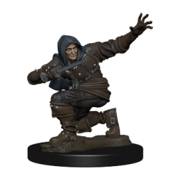 Pathfinder Battles: Premium...
