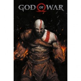God of War Limited Edition...
