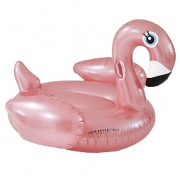 Swim Essentials -...