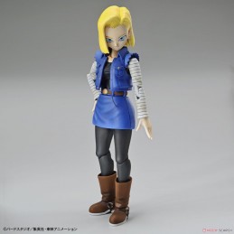 Figure-rise Standard...