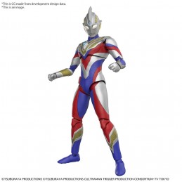 Figure-Rise Standard...
