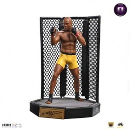 Anderson “Spider” Silva...