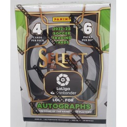 Panini Select Fußball...