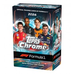 CASE (12 Displays) 2024...