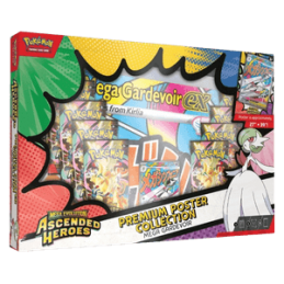 PKM - Mega Evolution -...